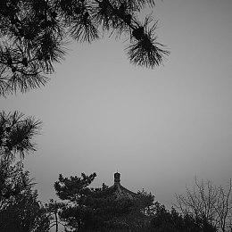 PS5游戏10月下载量排行 《使命召唤》新作无悬念居首